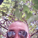  -,   , 36 ,   