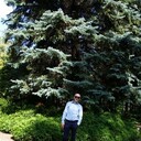 ���������� �������, ���� ������� �������, 40 ���, ������������ ��� ������, ����� � ���������, c�������� ���������