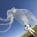 ���������� ����������, ���� ������� ������, 43 ����, ������������ ��� ������, ����� � ���������, c�������� ���������, ���������