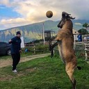  ,   Marat, 34 ,   ,   