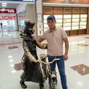 ���������� ���������, ���� ������� ���, 33 ����, ������������ ��� ������, ����� � ���������