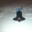 ���������� ����������, ���� ������� Bobo, 28 ���, ������������ ��� ������, ����� � ���������