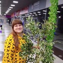 ���������� �������, ���� ������� ������, 34 ����, ������������ ��� ���������