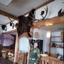 ���������� ����-���, ���� ������� �������, 41 ���, ������������ ��� ������, ����� � ���������, c�������� ���������