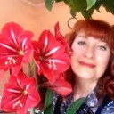 ���������� ��������, ���� ������� ���, 57 ���, ������������ ��� ������, ����� � ���������, c�������� ���������, ���������