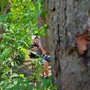 ���������� ������, ���� ������� Vanush, 27 ���, ������������ ��� ������, ����� � ���������