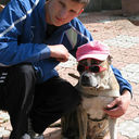  ,   Constantin, 38 ,   