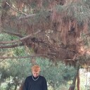 ���������� �����������, ���� ����� Dim Dim, 20 ���, ������������ 