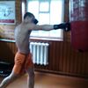  ,   , 31 ,  