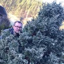  ,   Deimantas, 42 ,   ,   , c 