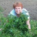  ,   , 63 ,   ,   , c 