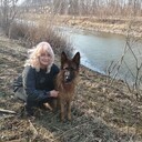 ���������� ��������, ���� ������� �������, 54 ����, ������������ ��� ������, ����� � ���������, c�������� ���������