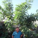  ,   , 68 ,  