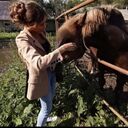 ���������� ������ ��������, ���� ������� ������, 38 ���, ������������ 