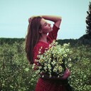  ,   , 22 ,  