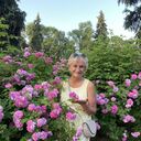  ,   , 68 ,   c , 