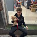 ���������� ������, ���� ������� ����, 26 ���, ������������ ��� ������, ����� � ���������, c�������� ���������, ���������