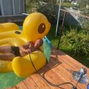 ���������� ������, ���� ������� ������, 42 ����, ������������ ��� ������, ����� � ���������, c�������� ���������