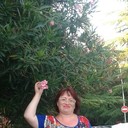 ���������� ����, ���� ������� �������, 53 ����, ������������ ��� ������, ����� � ���������, c�������� ���������