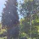  ,   Sergej, 55 ,   ,   
