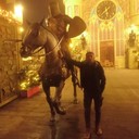 ���������� ������, ���� ������� ����, 41 ���, ������������ 