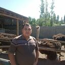  ,   , 40 ,   ,   