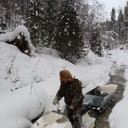  ,   ALEXNORD, 56 ,   