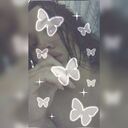 ���������� ����, ���� ������� ����, 22 ����, ������������ ��� ������, ����� � ���������