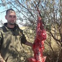 ���������� ������, ���� ������� ����, 39 ���, ������������ ��� ������