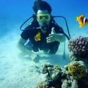 ���������� ���������� �����, ���� ������� ����, 31 ���, ������������ ��� ������, ����� � ���������, c�������� ���������, ���������