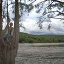 ���������� ������ ��������, ���� ������� ����, 43 ����, ������������ 