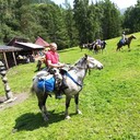  ,   , 45 ,   ,   , c 