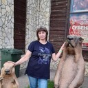 ���������� ��������, ���� ������� �������, 49 ���, ������������ ��� c�������� ���������