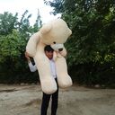 ���������� �����-���������, ���� ������� �����, 34 ����, ������������ ��� ������, ����� � ���������, c�������� ���������