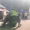 ���������� ����, ���� ������� ����, 40 ���, ������������ ��� ������, ����� � ���������, c�������� ���������