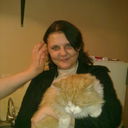 ���������� ���������, ���� ������� �����, 44 ����, ������������ ��� ����� � ���������, c�������� ���������