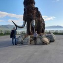 ���������� �������������-����������, ���� ������� ������, 49 ���, ������������ ��� ������, ����� � ���������, c�������� ���������