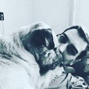  -,   , 34 ,   ,   , c 