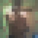  ,   0665128776, 31 ,   , 