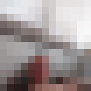 ���������� ����, ���� ������� ����, 43 ����, ������������ ��� ������, ����� � ���������, c�������� ���������