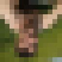  ,   , 26 ,   , c 