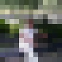  ,   Nikoloz, 57 ,   ,   , c , 