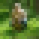  ,   , 41 ,   ,   , c , 