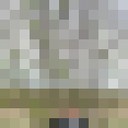 ���������� ������, ���� ������� ������, 48 ���, ������������ ��� ������, ����� � ���������, c�������� ���������