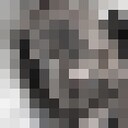 ���������� ���������, ���� ������� �����, 36 ���, ������������ ��� ������, ����� � ���������