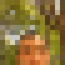 ���������� �����, ���� ������� Tigran, 40 ���, ������������ ��� ������, ����� � ���������, c�������� ���������