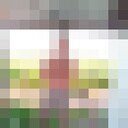  --,   , 48 ,   ,   