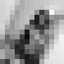 ���������� ������, ���� ������� ����, 19 ���, ������������ ��� ������, ����� � ���������, ���������