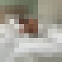 ���������� ������, ���� ������� �����, 42 ����, ������������ ��� ������, ����� � ���������, c�������� ���������