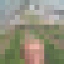  ,   , 33 ,  